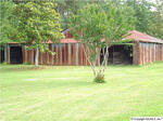 100 Cabana Ln., Albertville, AL 35951 Photo 5
