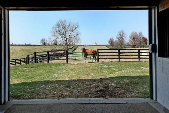 5222 Paris Pike, Lexington, KY 40511 Photo 42