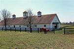5222 Paris Pike, Lexington, KY 40511 Photo 38