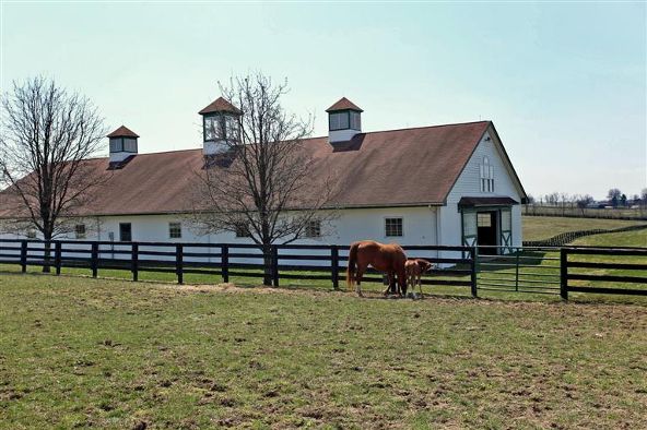 5222 Paris Pike, Lexington, KY 40511 Photo 38