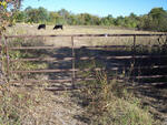 2 Hwy. 121, Bonham, TX 75418 Photo 1