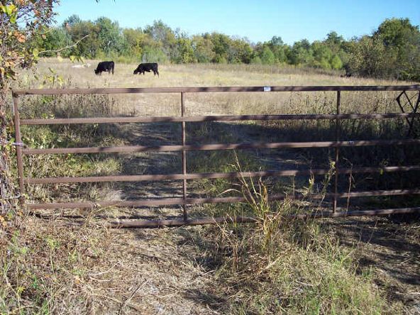 2 Hwy. 121, Bonham, TX 75418 Photo 1