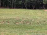 4139 Piaffe Avenue, Mint Hill, NC 28227 Photo 2