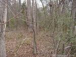0 N.W. Beatties Ford Rd., Charlotte, NC 28216 Photo 2
