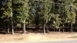 7299 Moseley Dixon Rd., Macon, GA 31220 Photo 5